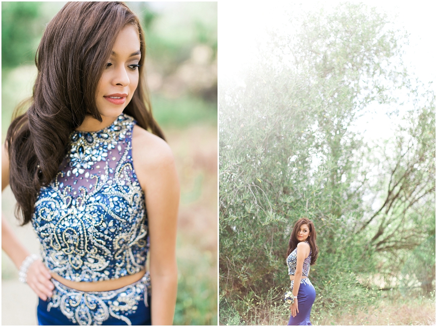 Lake Balboa Park Photography